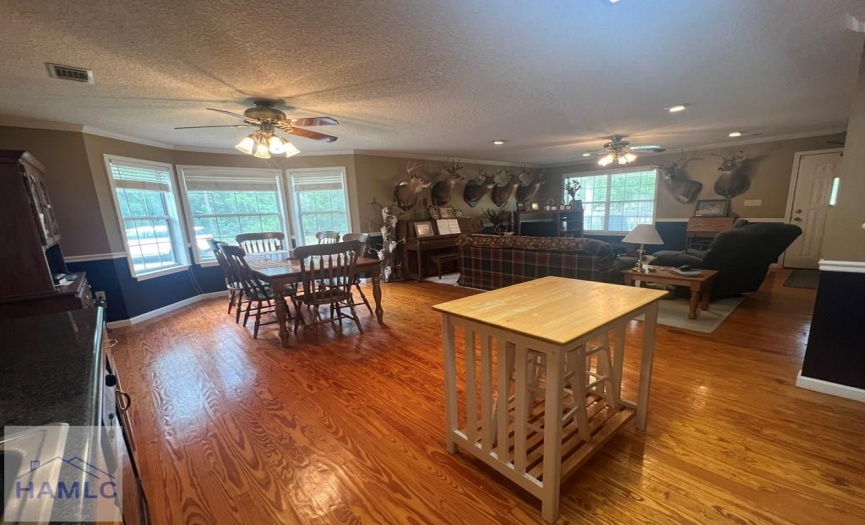 189 Sooner Dr, United States 31545, 3 Bedrooms Bedrooms, 7 Rooms Rooms,2 BathroomsBathrooms,For Sale,Sooner Dr,158695