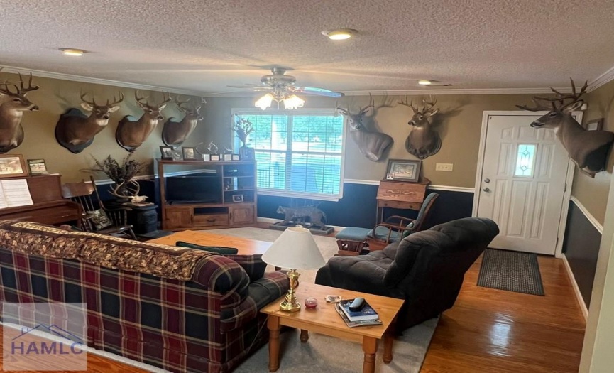 189 Sooner Dr, United States 31545, 3 Bedrooms Bedrooms, 7 Rooms Rooms,2 BathroomsBathrooms,For Sale,Sooner Dr,158695