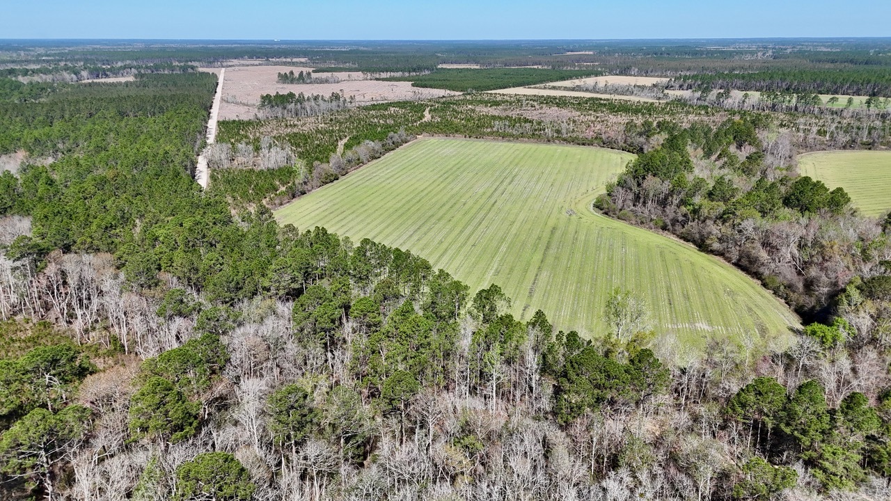 TRACT 6 Ingram RD Odum GA 31555 image 1
