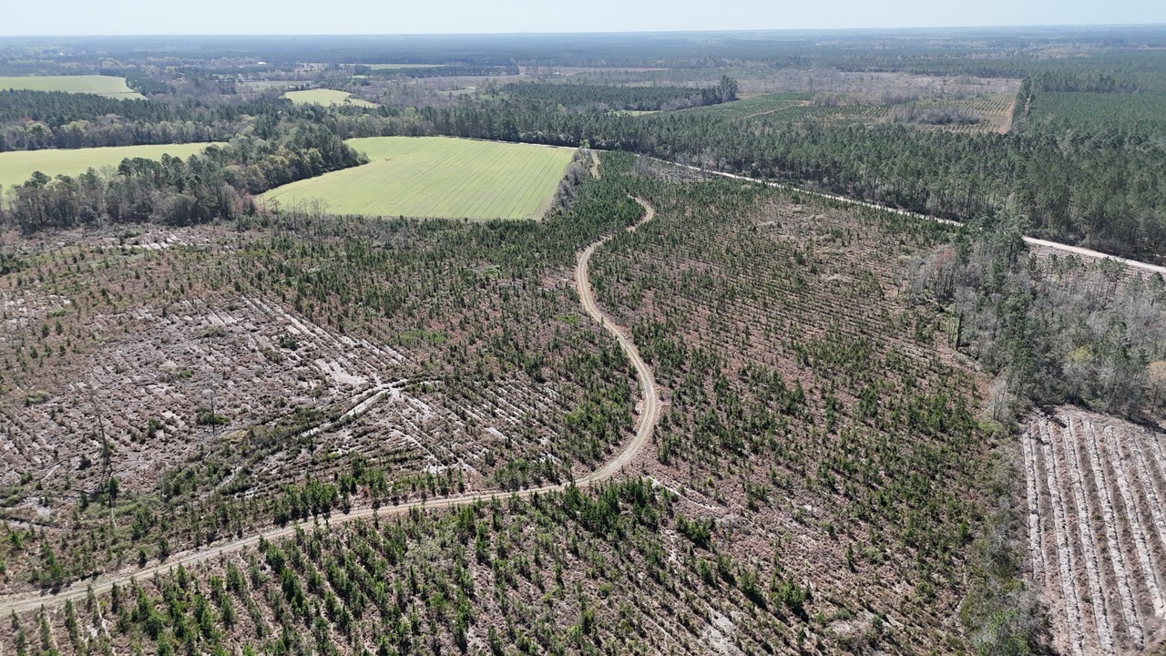 TRACT 6 Ingram RD Odum GA 31555 image 3