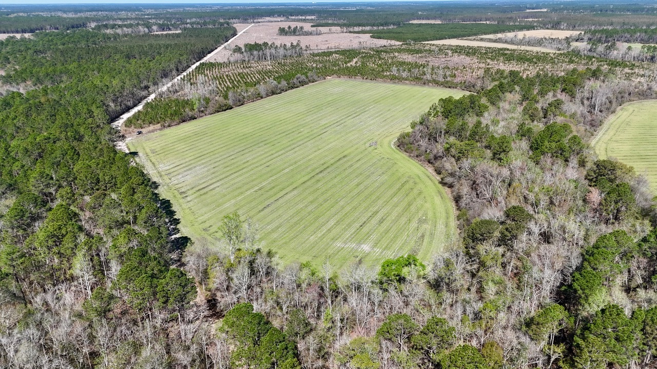 TRACT 6 Ingram RD Odum GA 31555 image 4