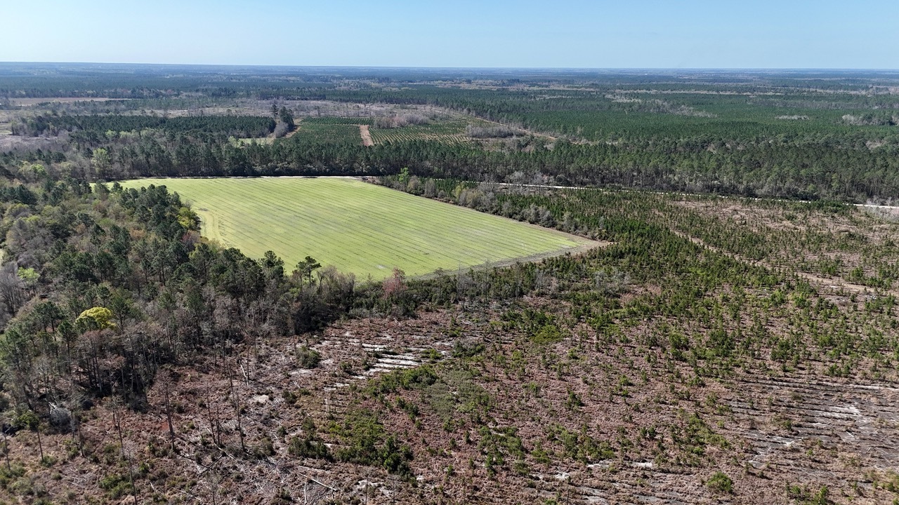 TRACT 6 Ingram RD Odum GA 31555 image 5