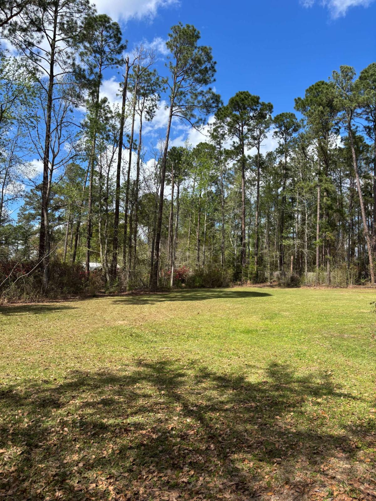1565 East Lake DR Screven GA 31560 image 4