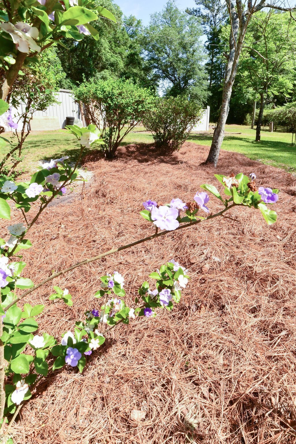 39 Adams ST Jesup GA 31545 image 4