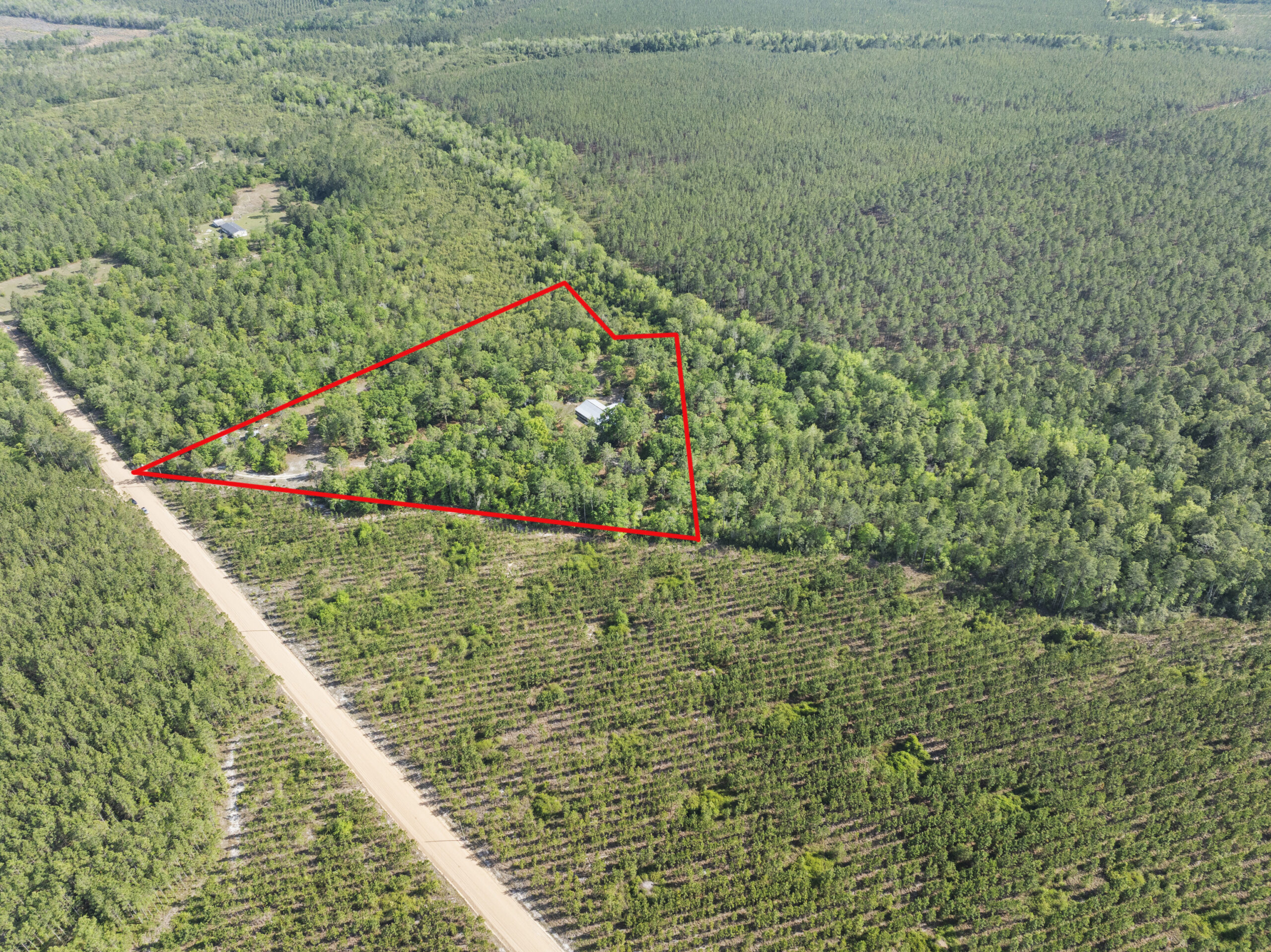 1234 Bennett RD Screven GA 31560 image 5