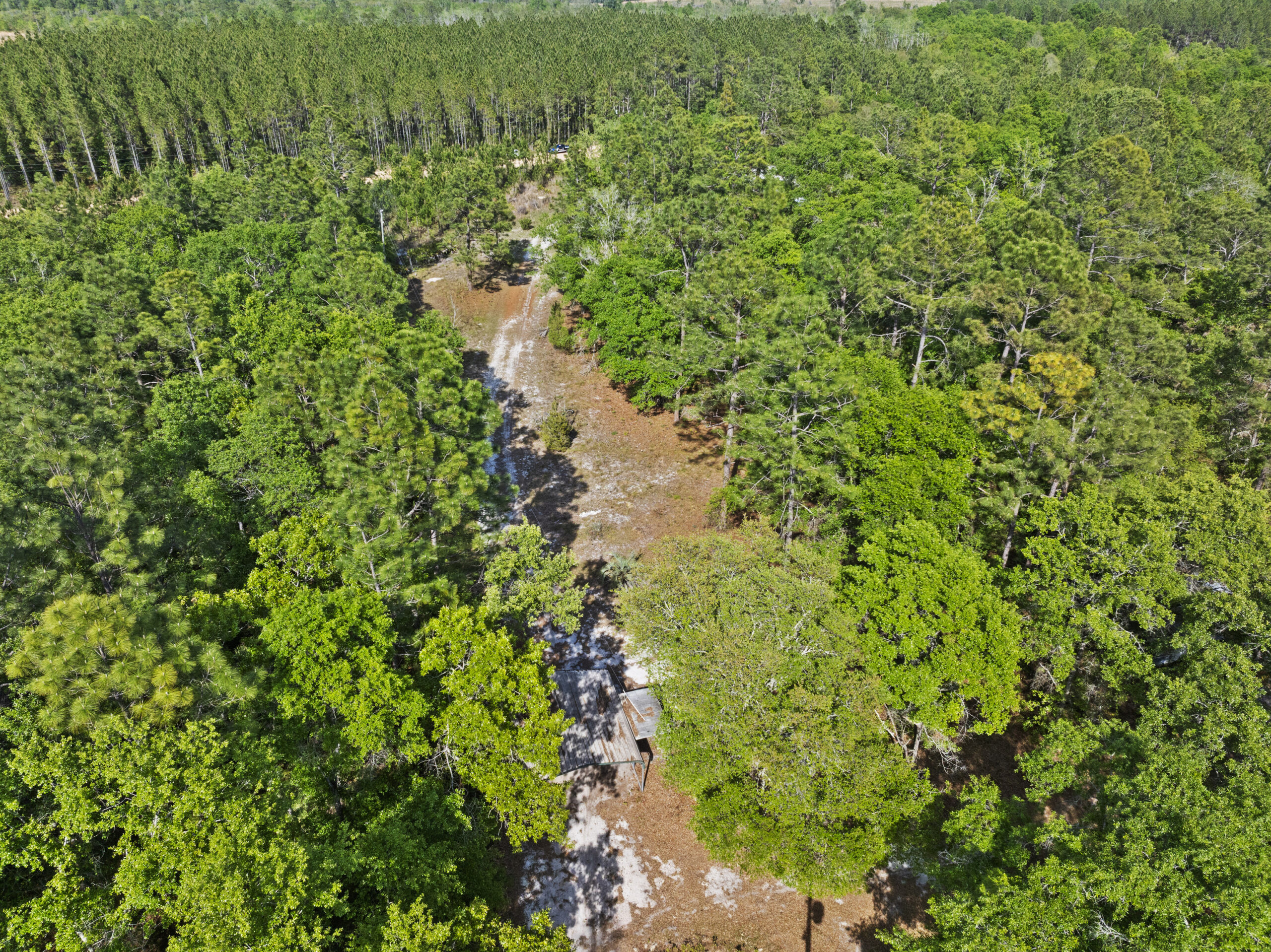 1234 Bennett RD Screven GA 31560 image 5