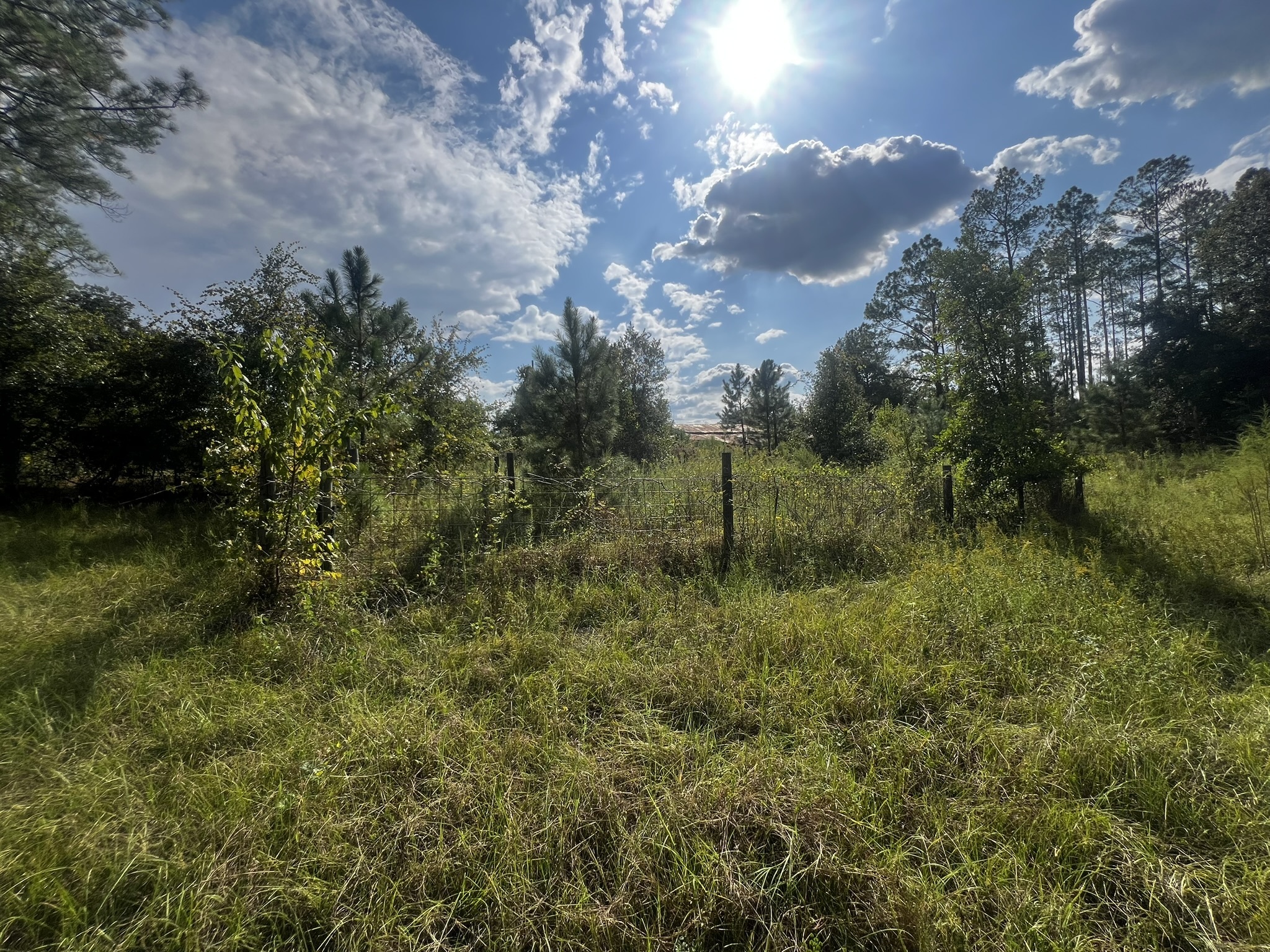3288 New Hope Rd Odum GA 31555 image 2