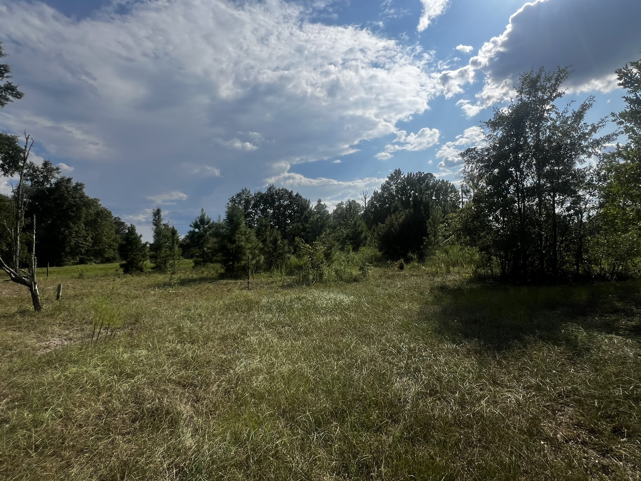 3288 New Hope Rd Odum GA 31555 image 5